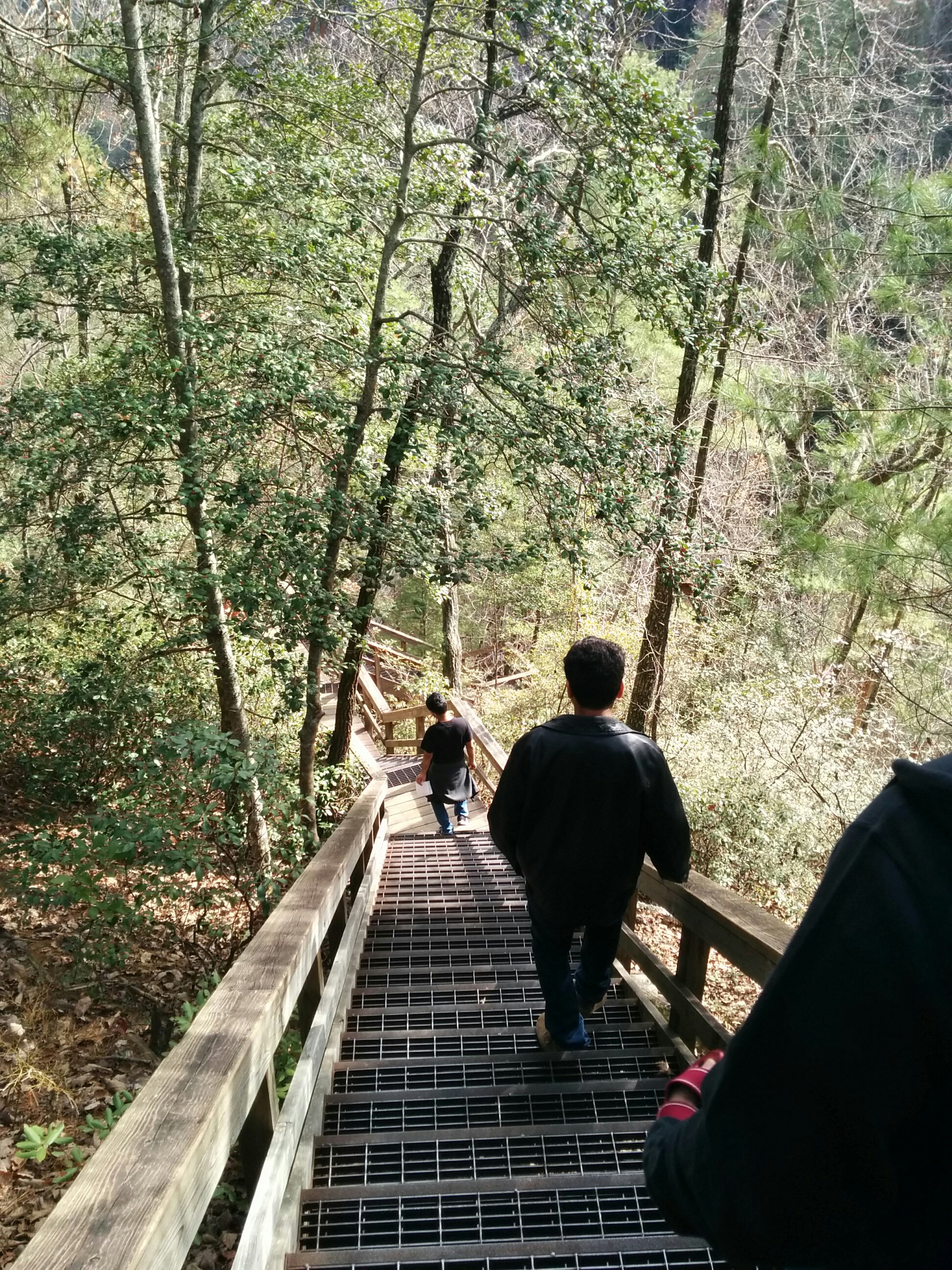 Climbing Down stairs