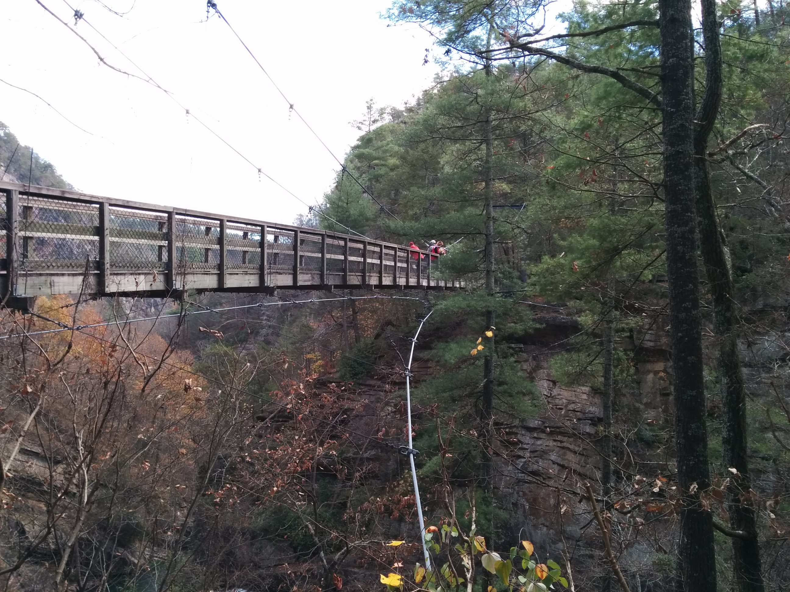 The Bridge