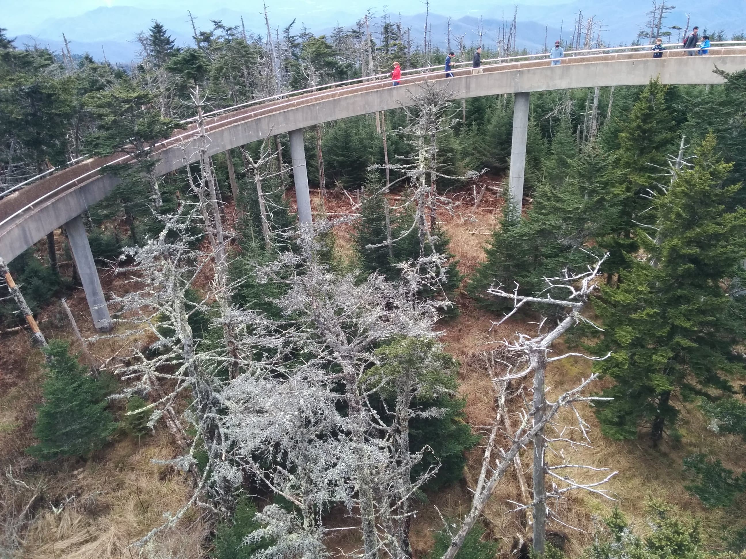 Bridge of Clingmans Dome