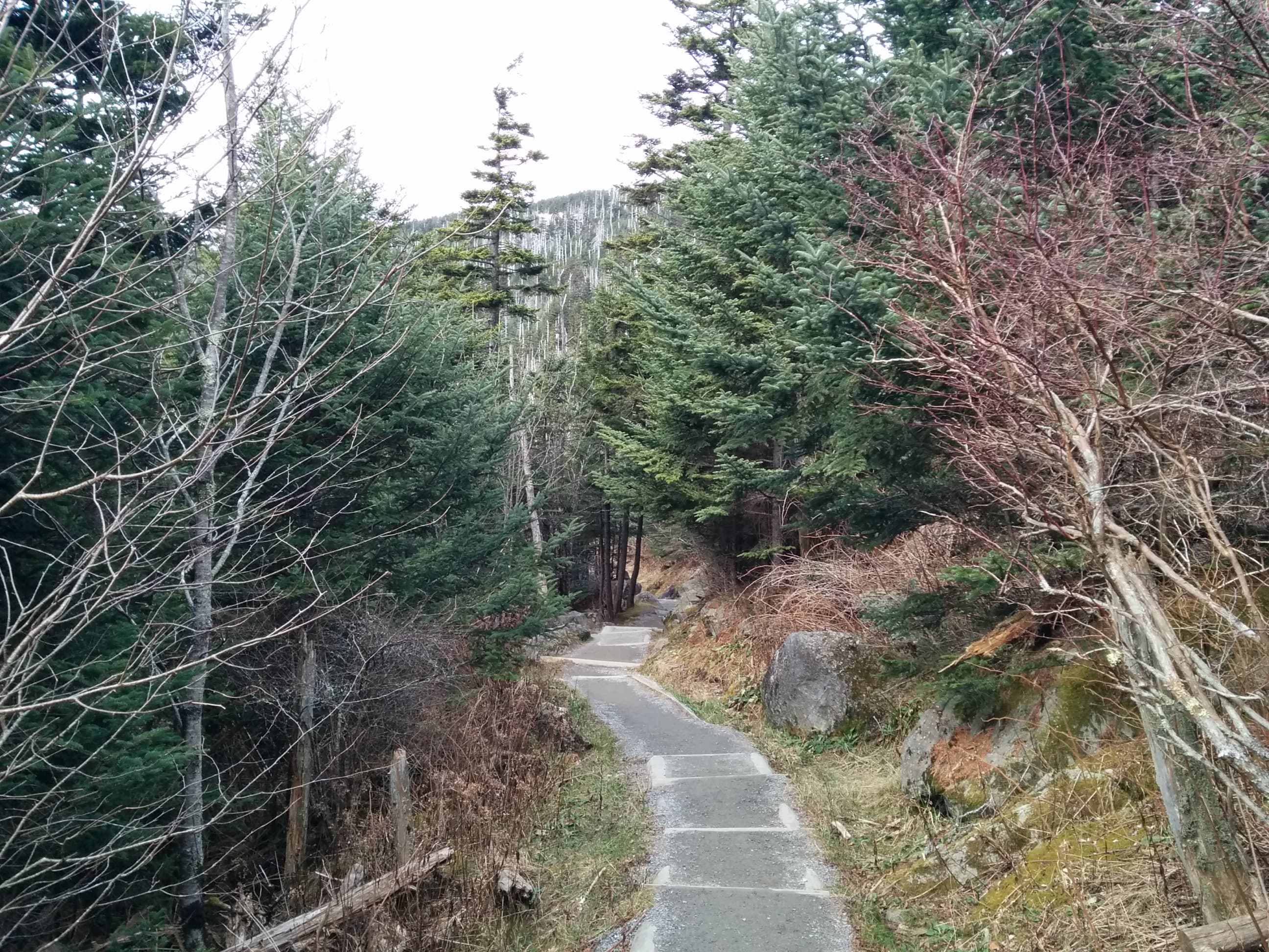 Trail 1
