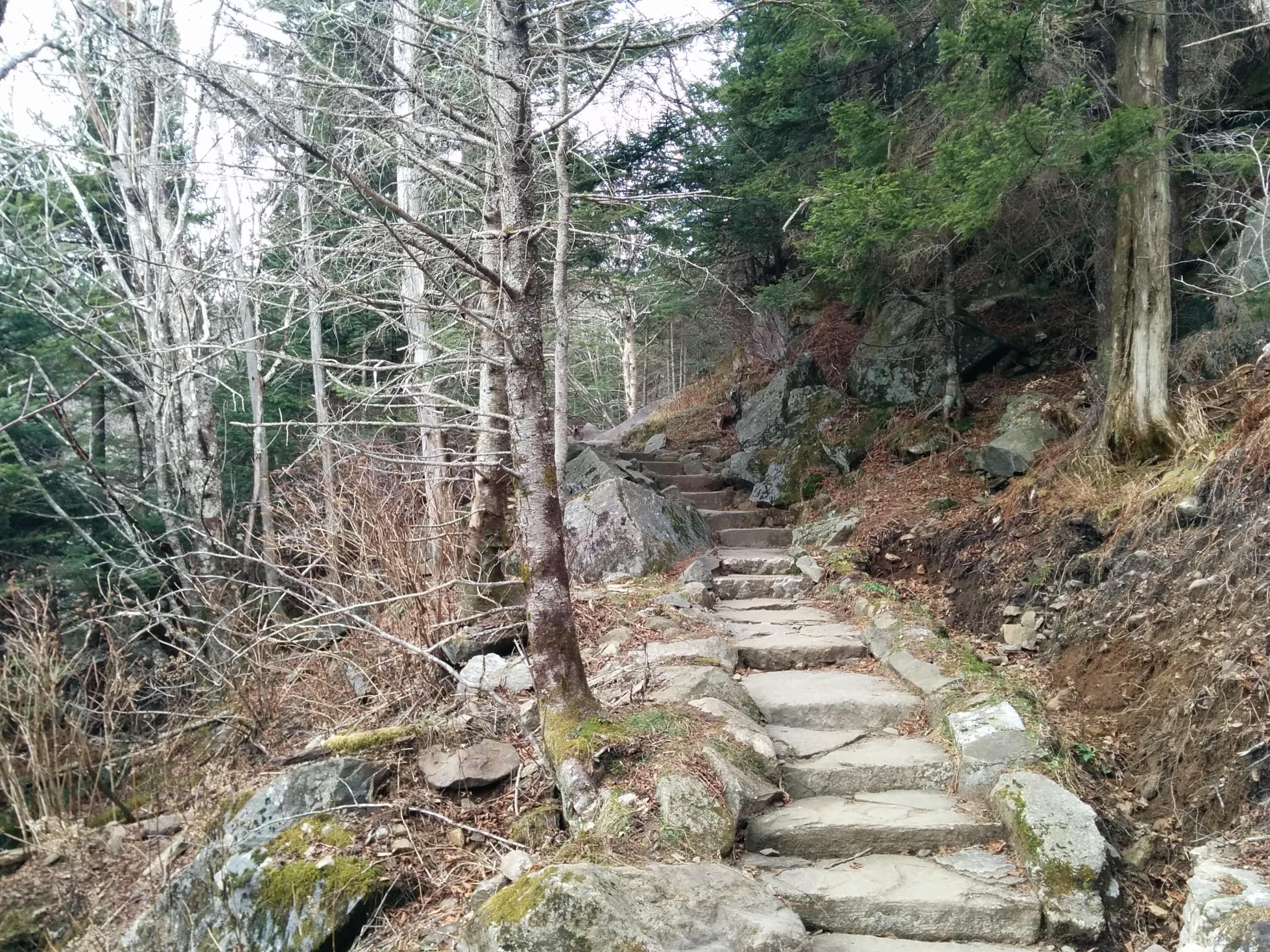 Trail 2