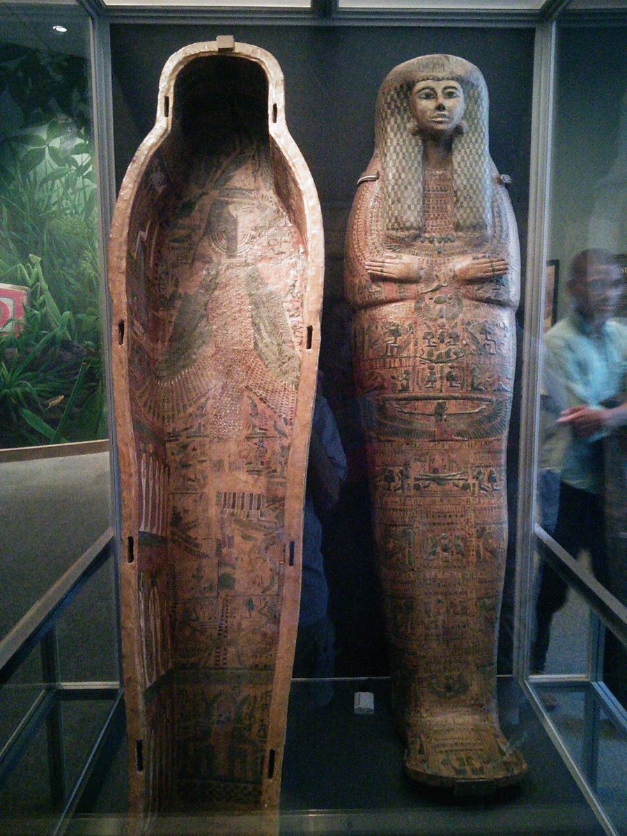 museum_of_natural_history_4