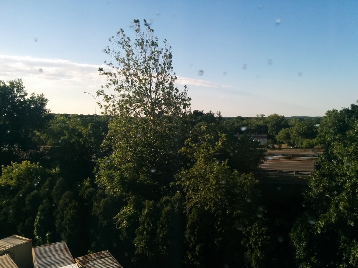 beautiful_scene_outside_hotel_2