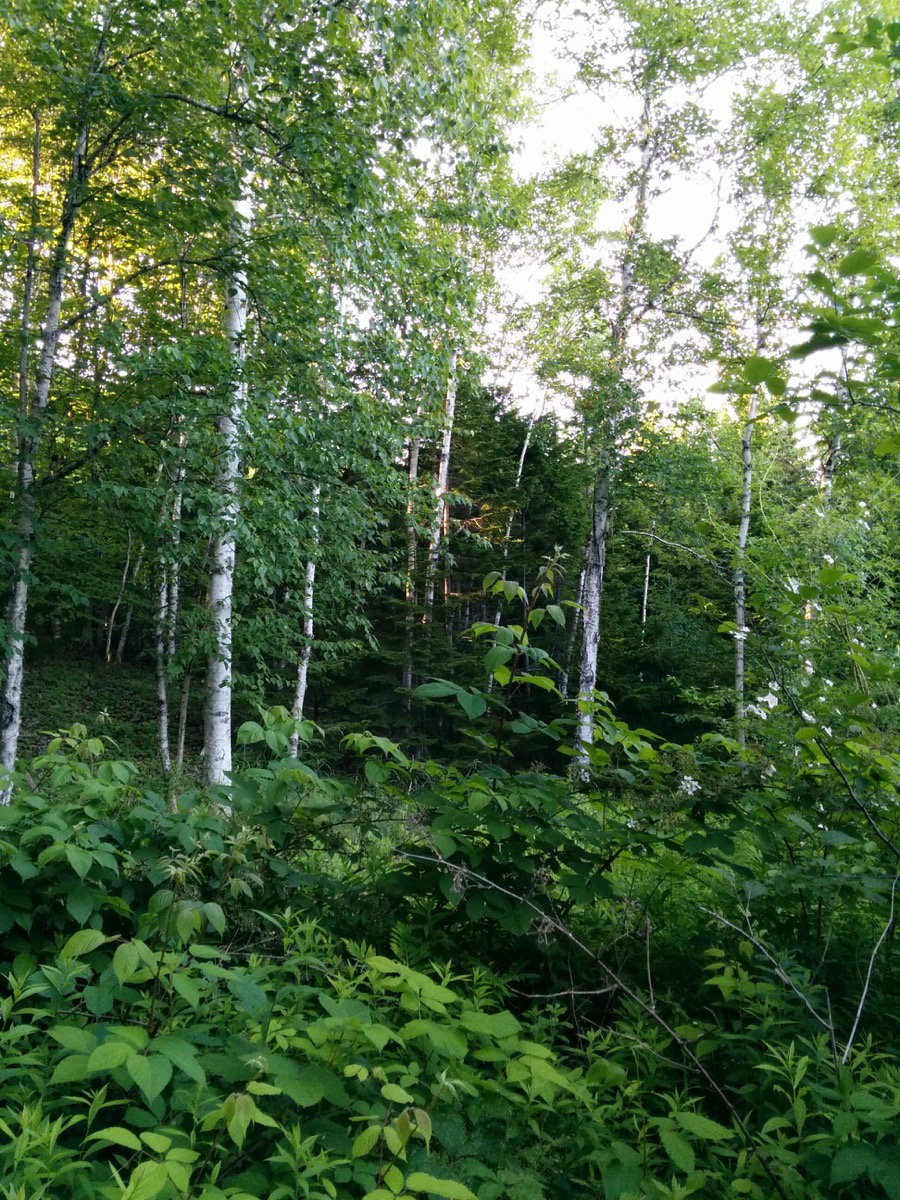 great_head_trail_3