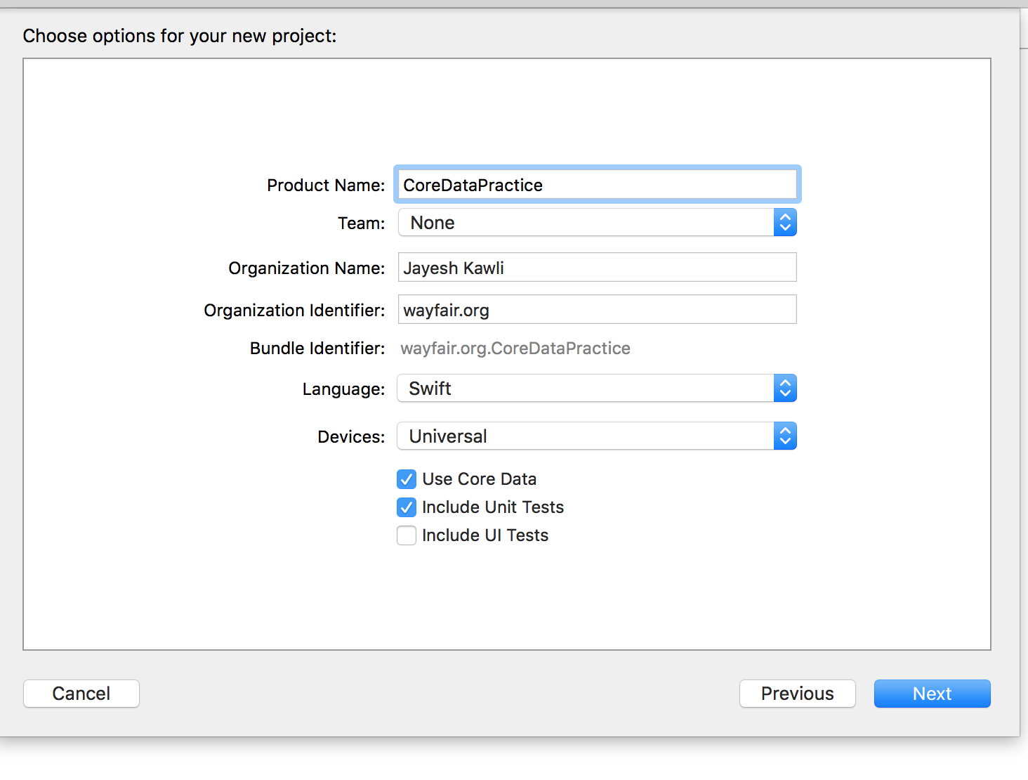 use_core_data_option