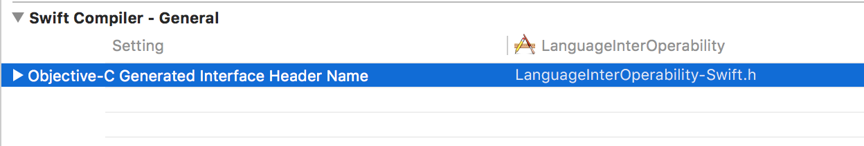 Objective-C-interface-header-file