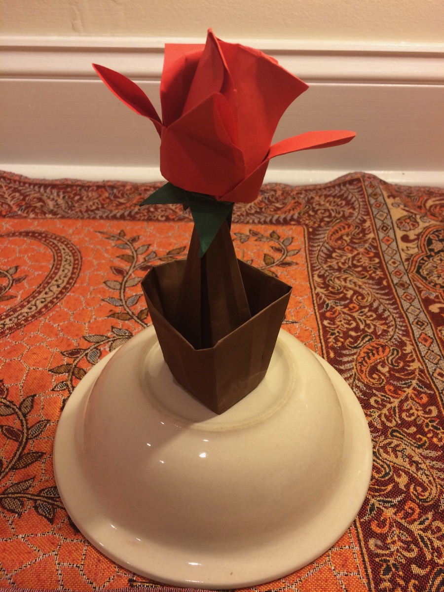 rose_1