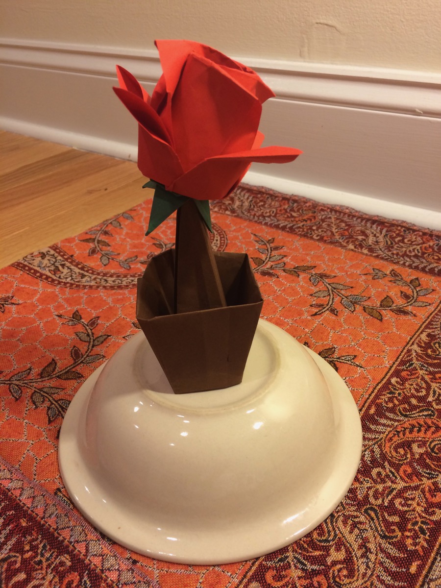rose_2