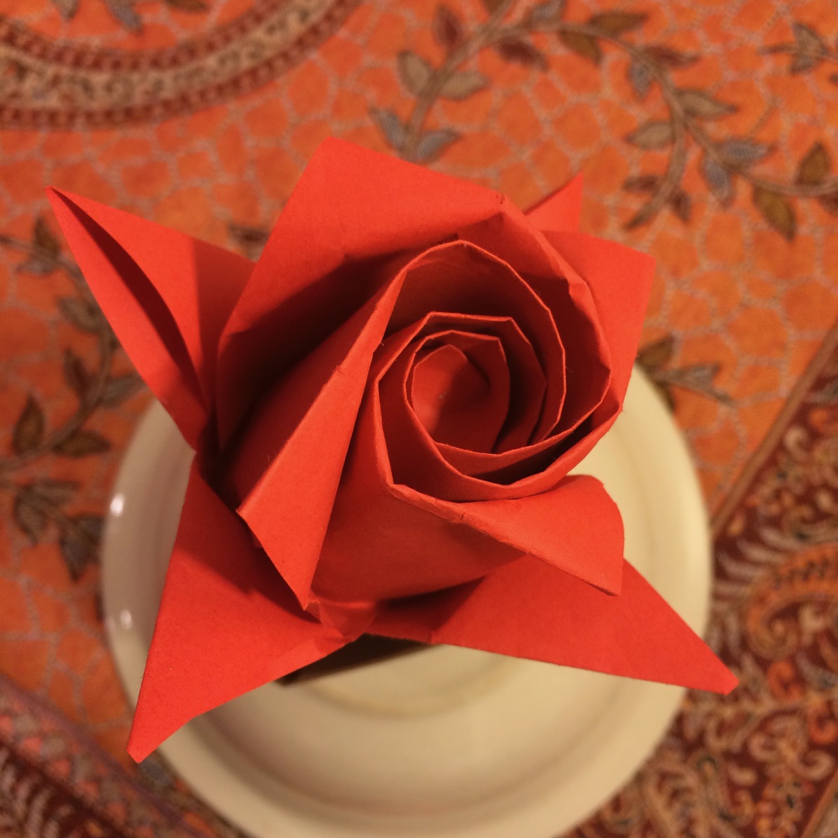 rose_3